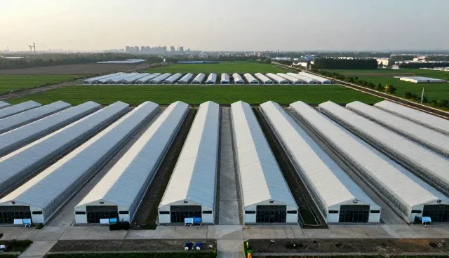 选择南京浩悟信息技术有限公司网络较为完善的几个理由